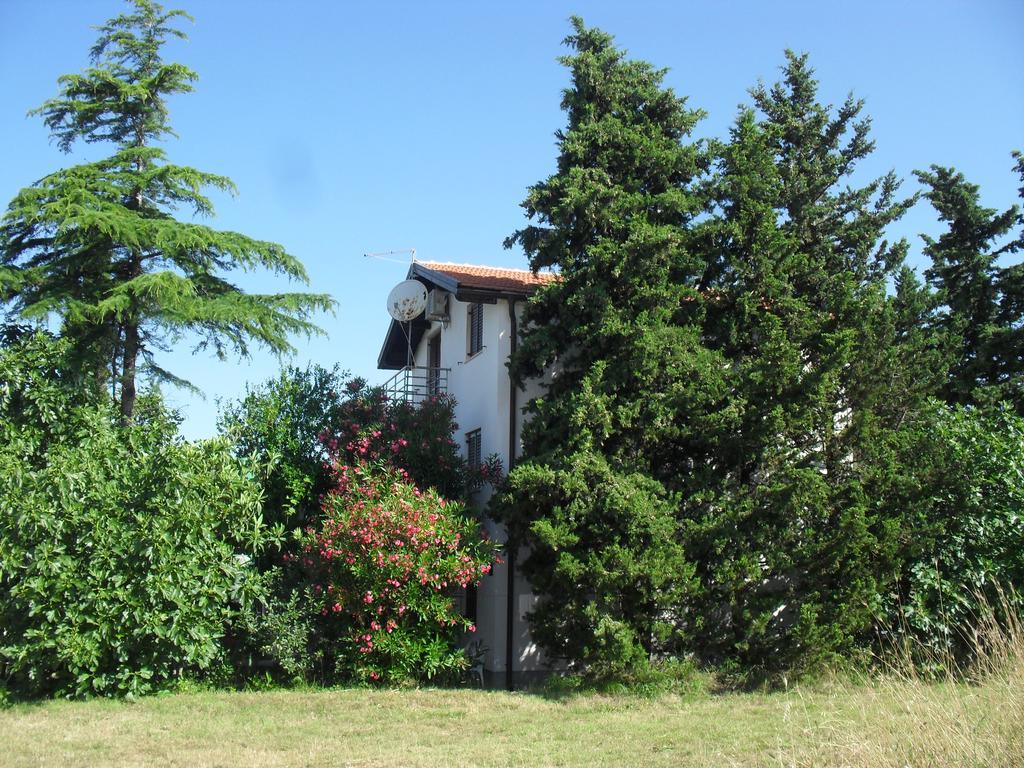 Apartment Lana Privlaka  Extérieur photo